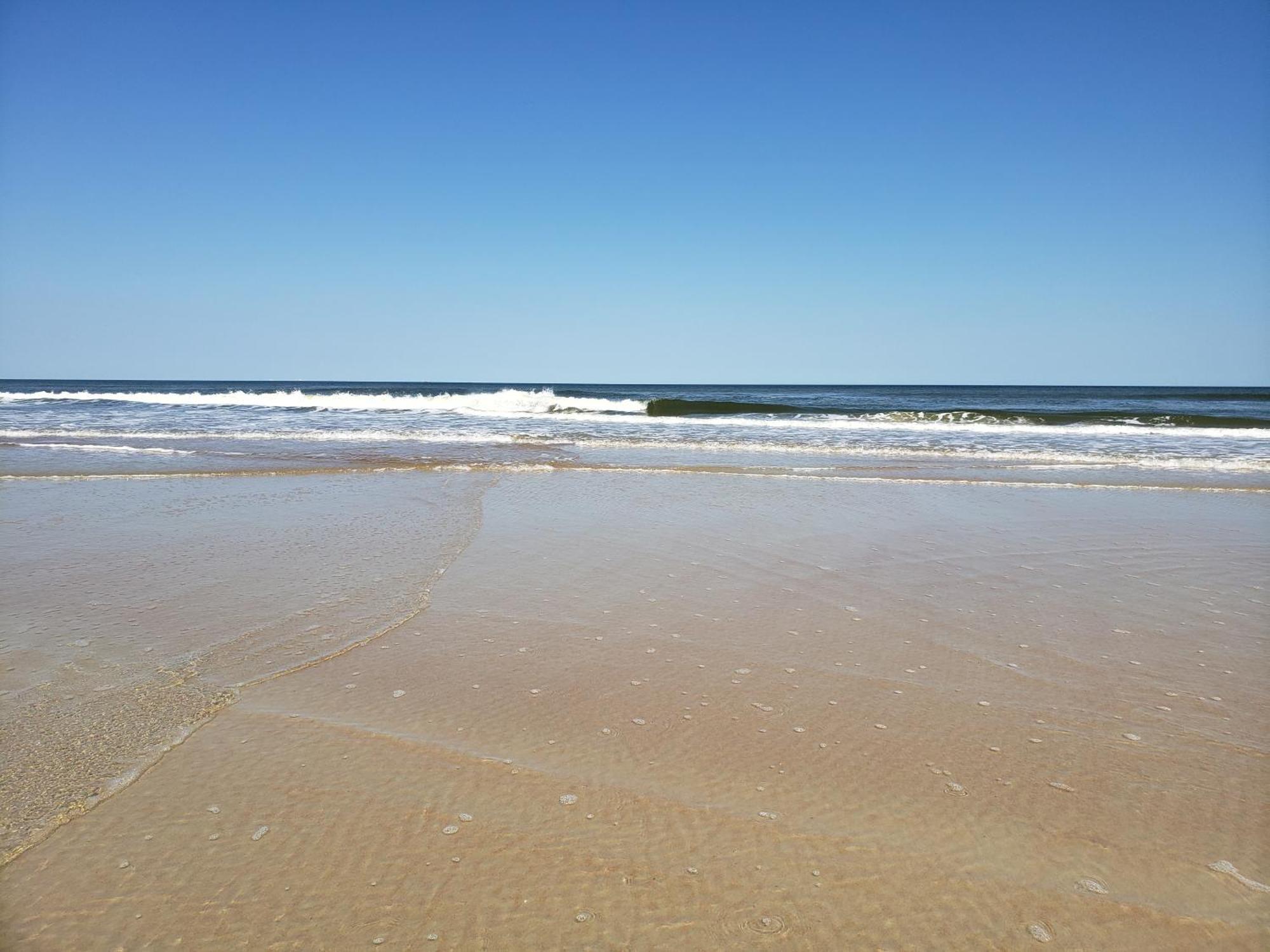 Beachside Bliss Ocean Views & Endless Fun Daytona Beach! Exteriör bild