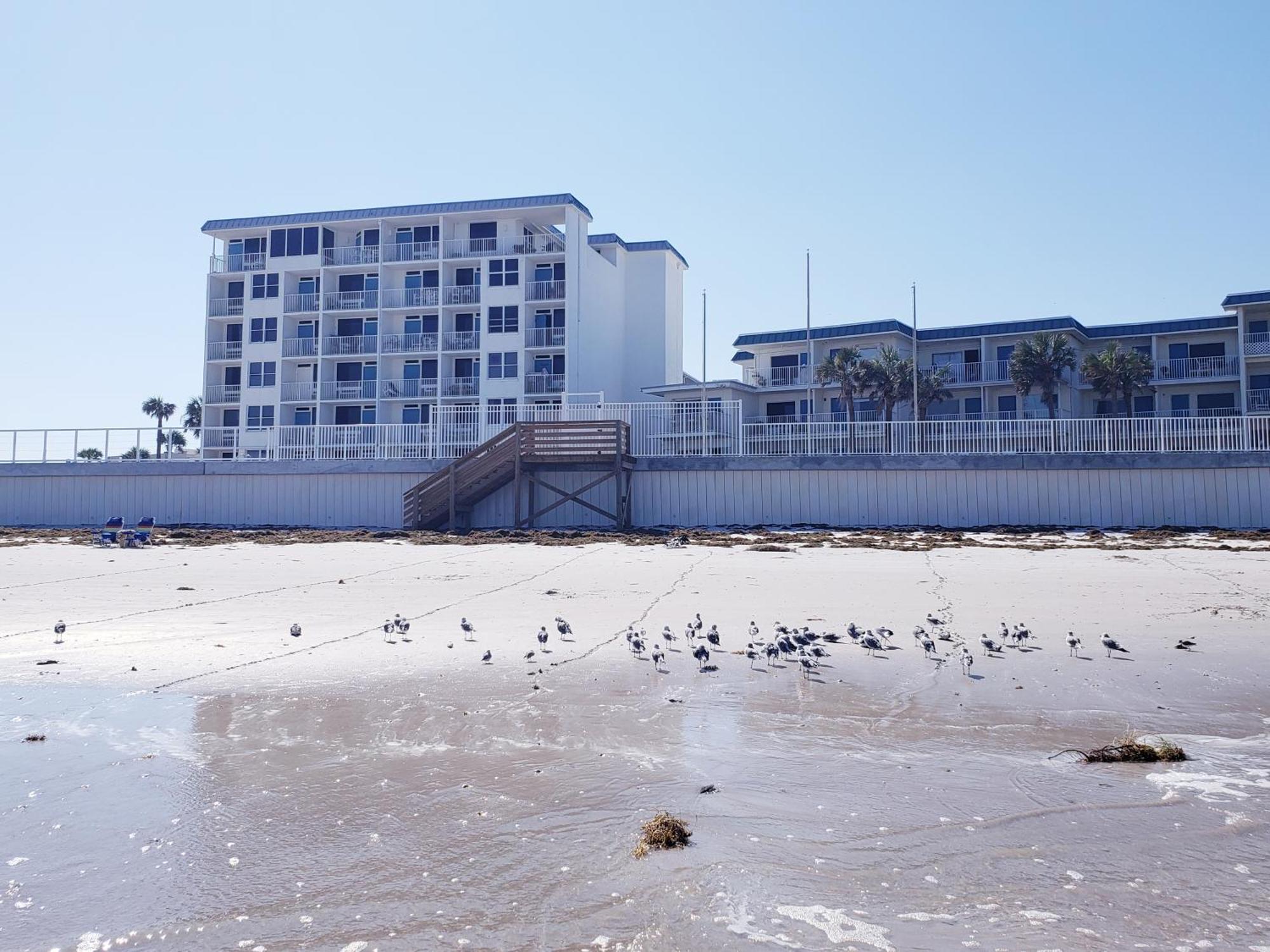 Beachside Bliss Ocean Views & Endless Fun Daytona Beach! Exteriör bild